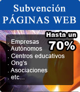 Subvencion Paginas Web Subvencion Paginas Web