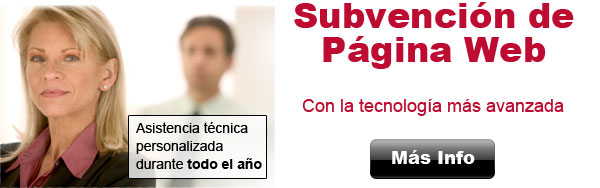 Subvención de página web