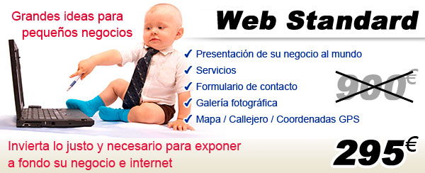 Página web estándard subvencionada Página web estándard subvencionada