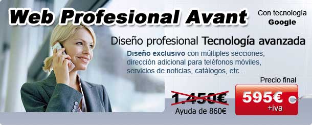 Web Profesional Avant Subvencionada