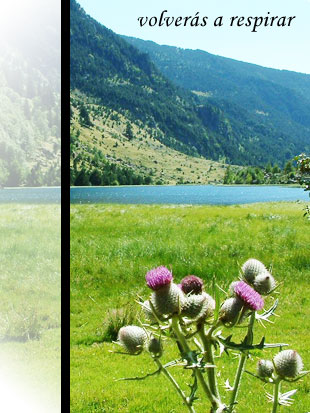 Lago.jpg
