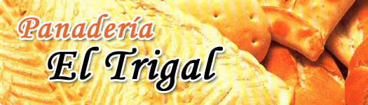  Web Presencial 